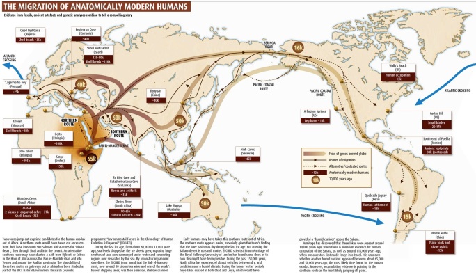 Homo sapiens migration